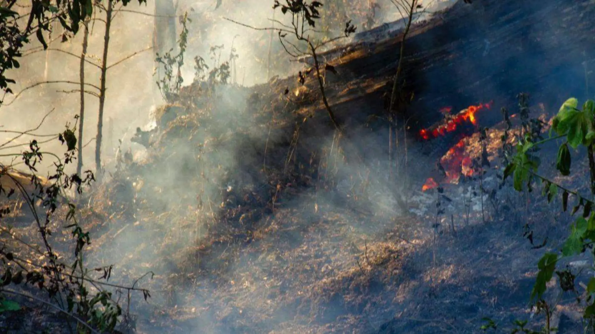 incendios en México